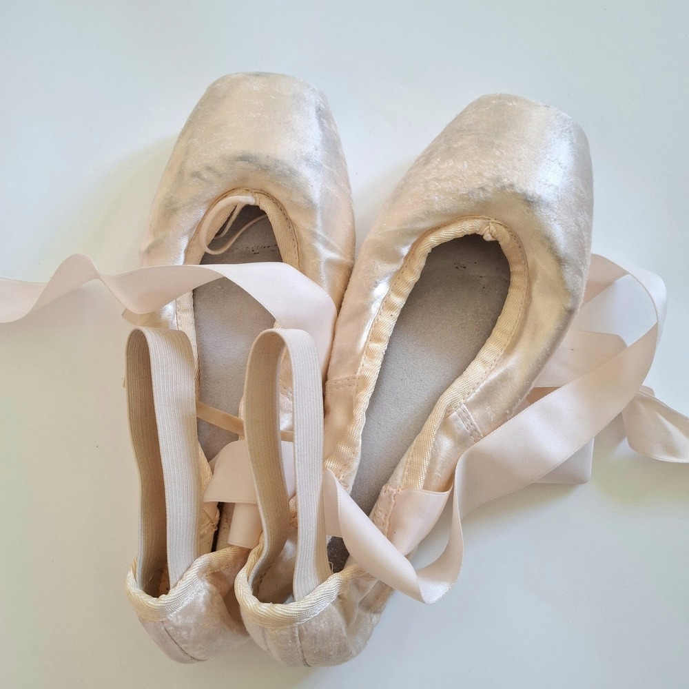 Classic Pointe Ballet Shoes in Blush